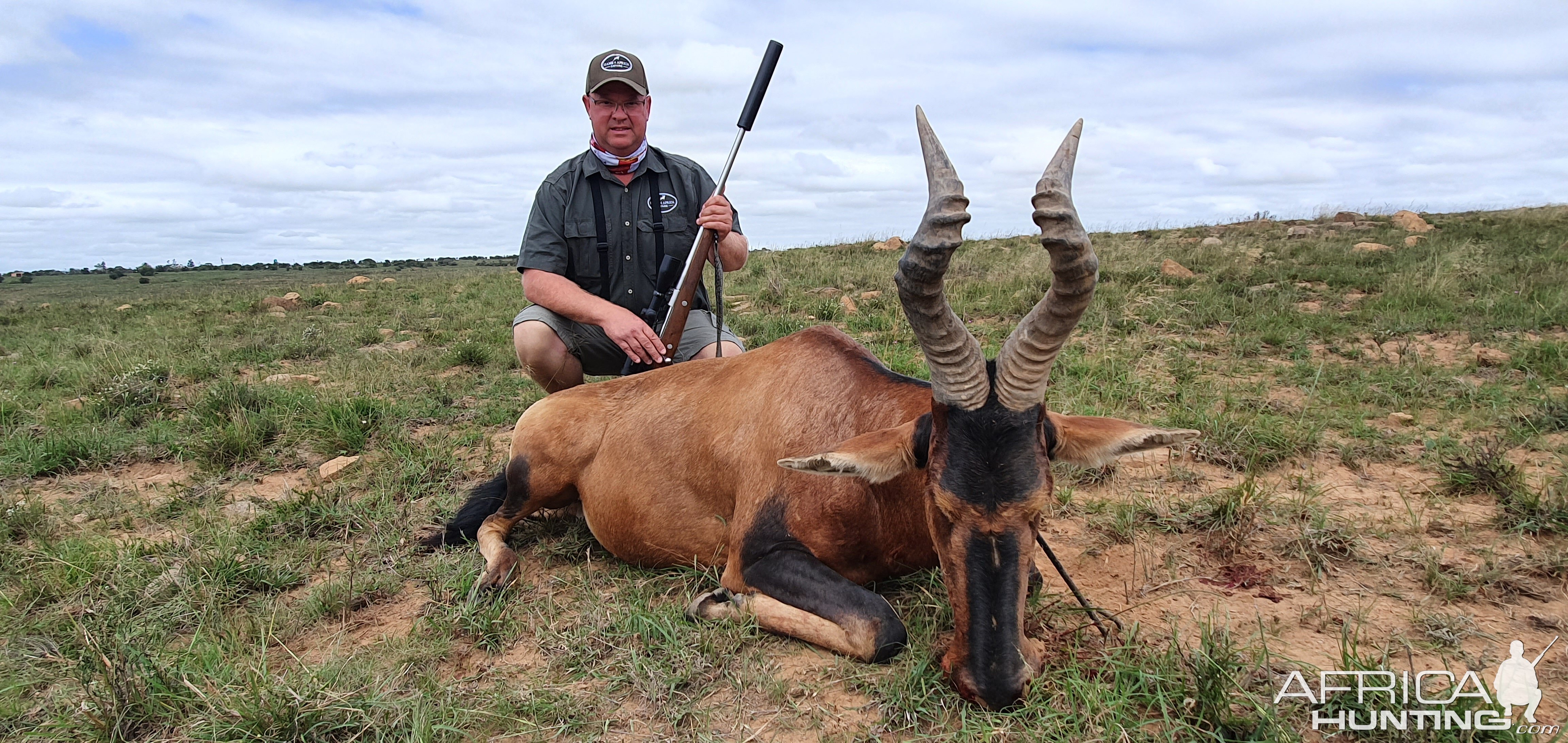 Red Hartebeest Hunting South Africa