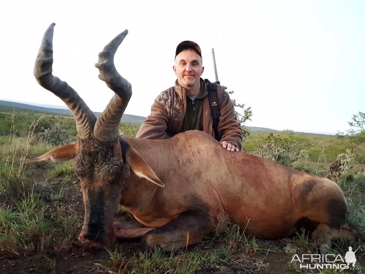 Red Hartebeest Hunting South Africa