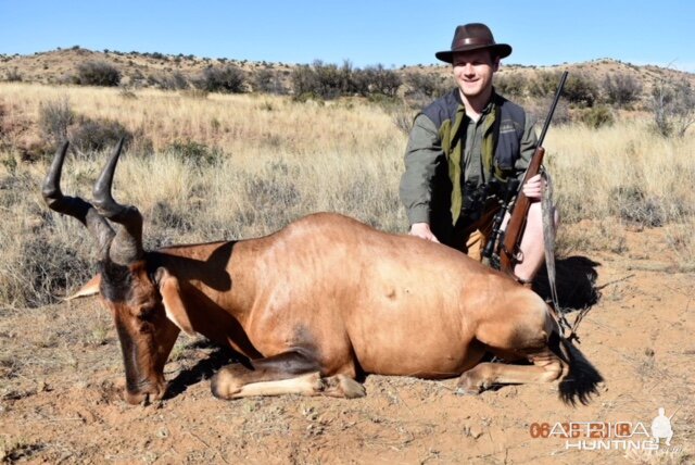 Red Hartebeest Hunting South Africa