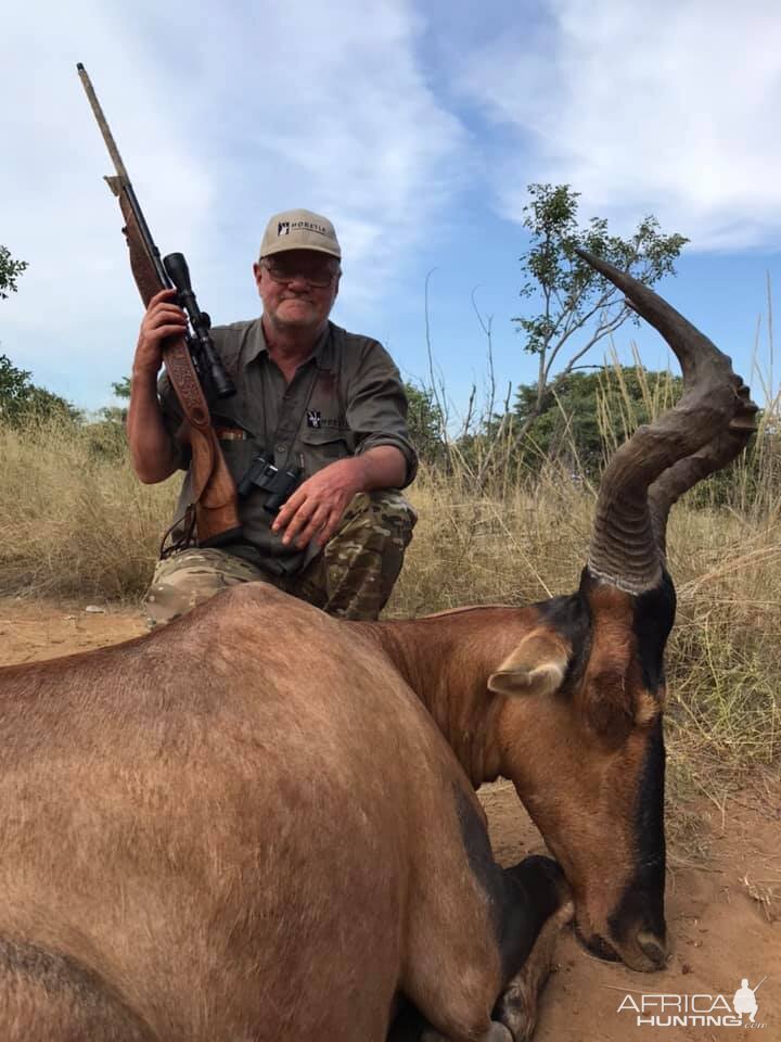 Red Hartebeest Hunting South Africa