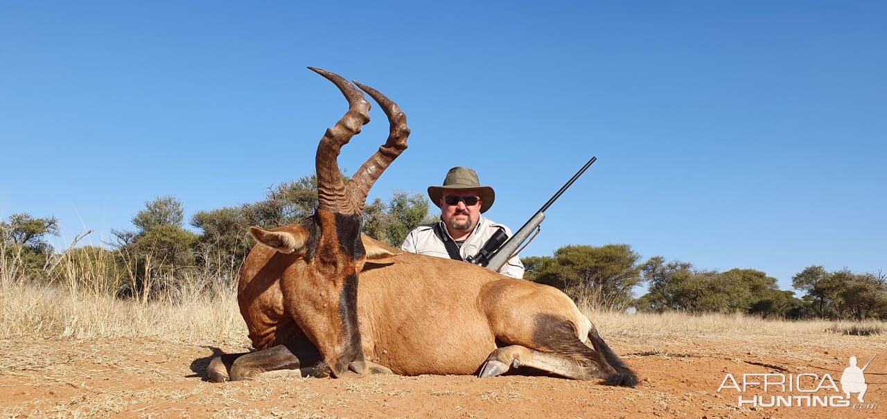 Red Hartebeest Hunting South Africa