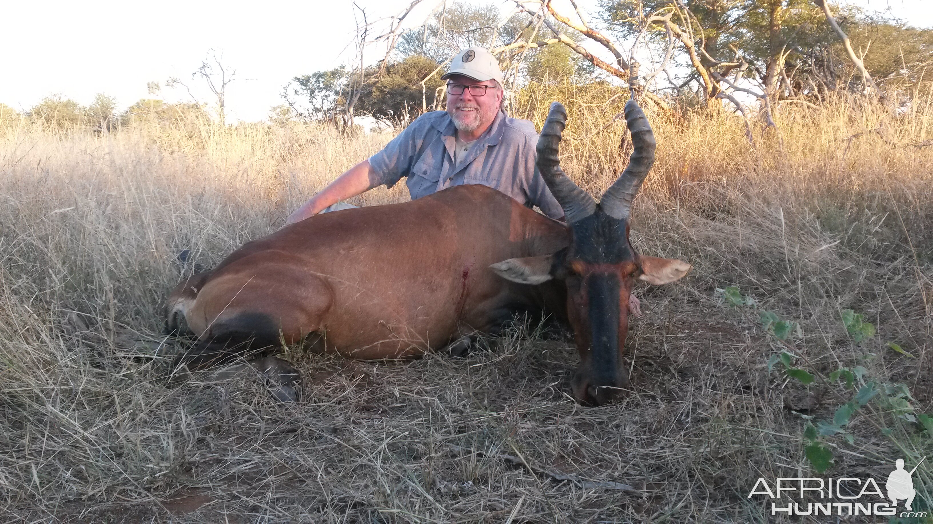 Red Hartebeest Hunting South Africa