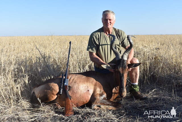 Red Hartebeest Hunting South Africa