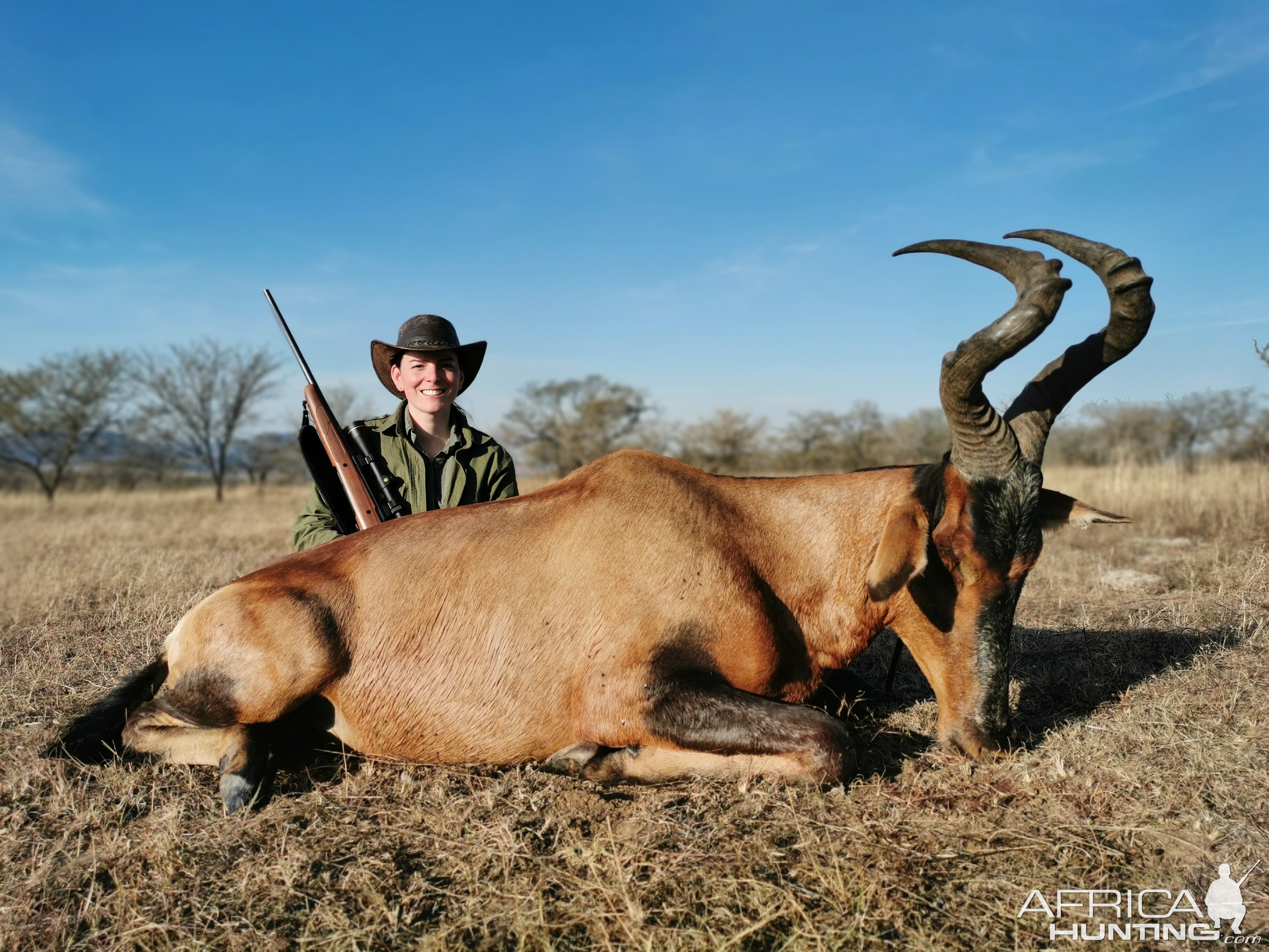 Red Hartebeest Hunting South Africa