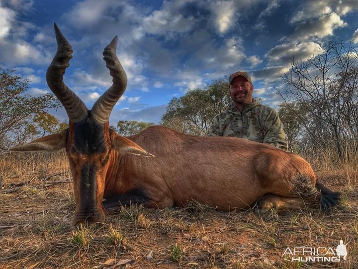 Red Hartebeest Hunting