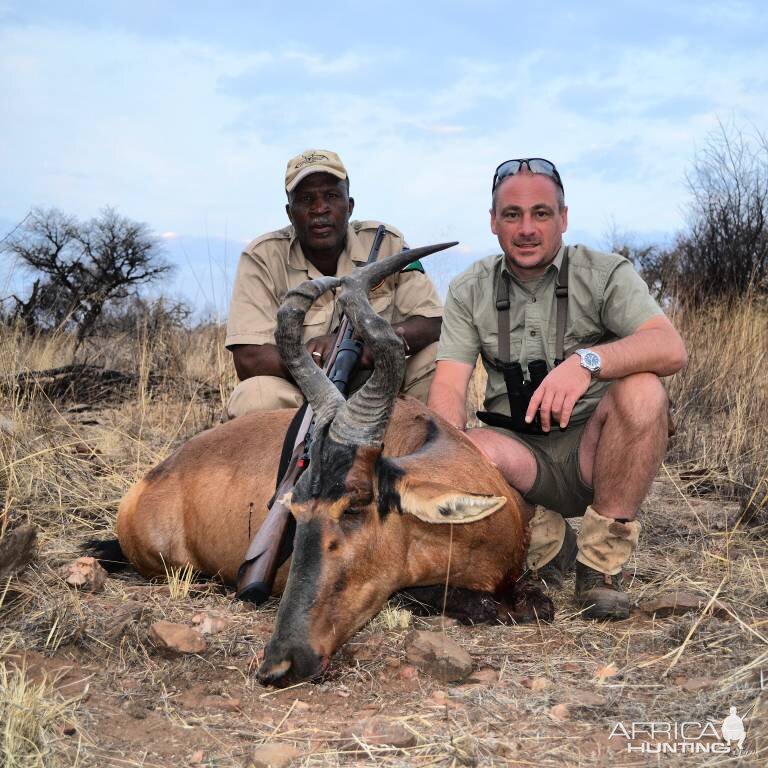 Red Hartebeest Hunting