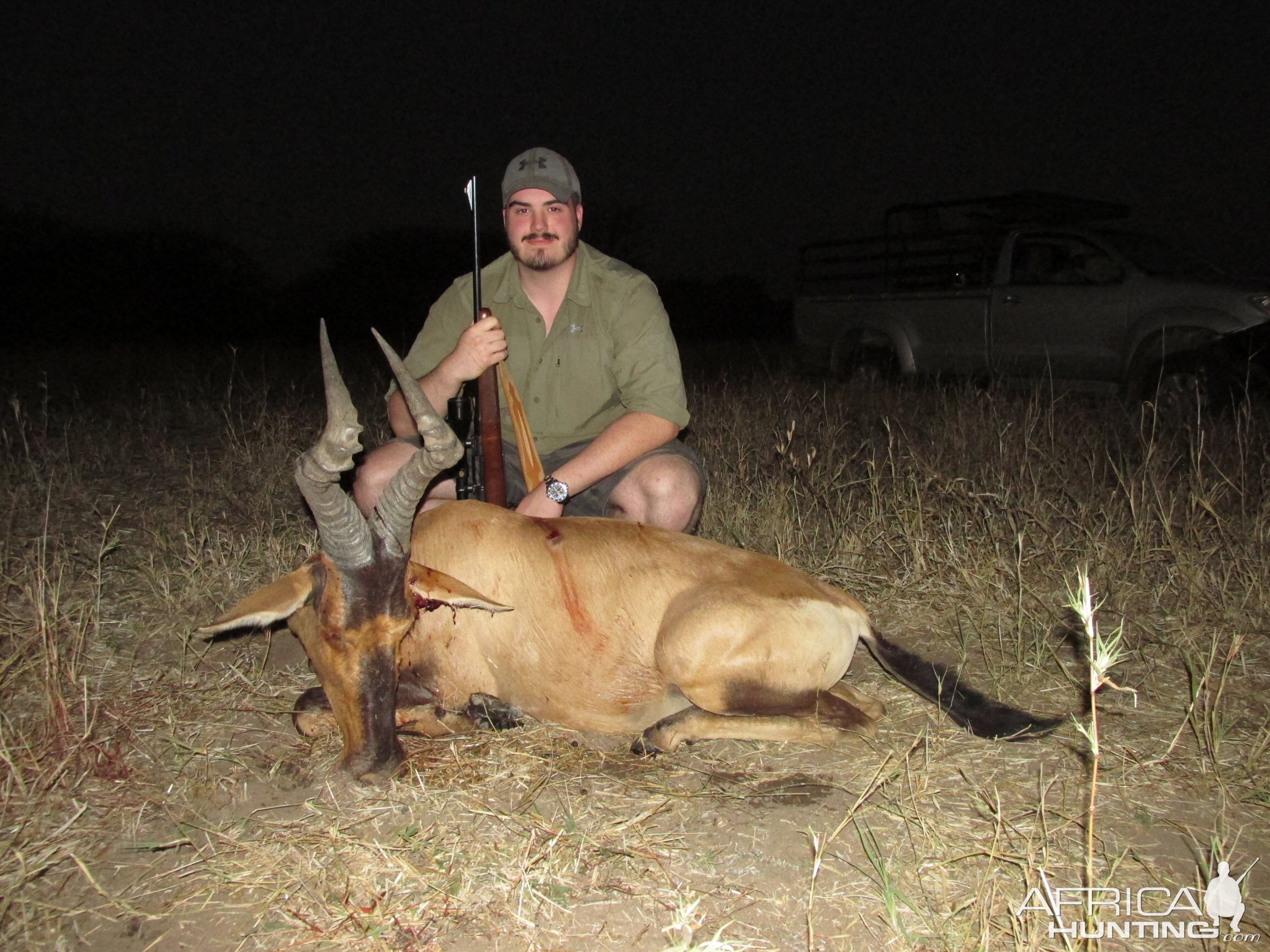 Red Hartebeest Nambia Hunt