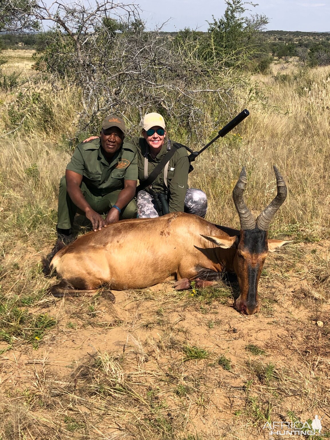 Red Hartebeest Namibia