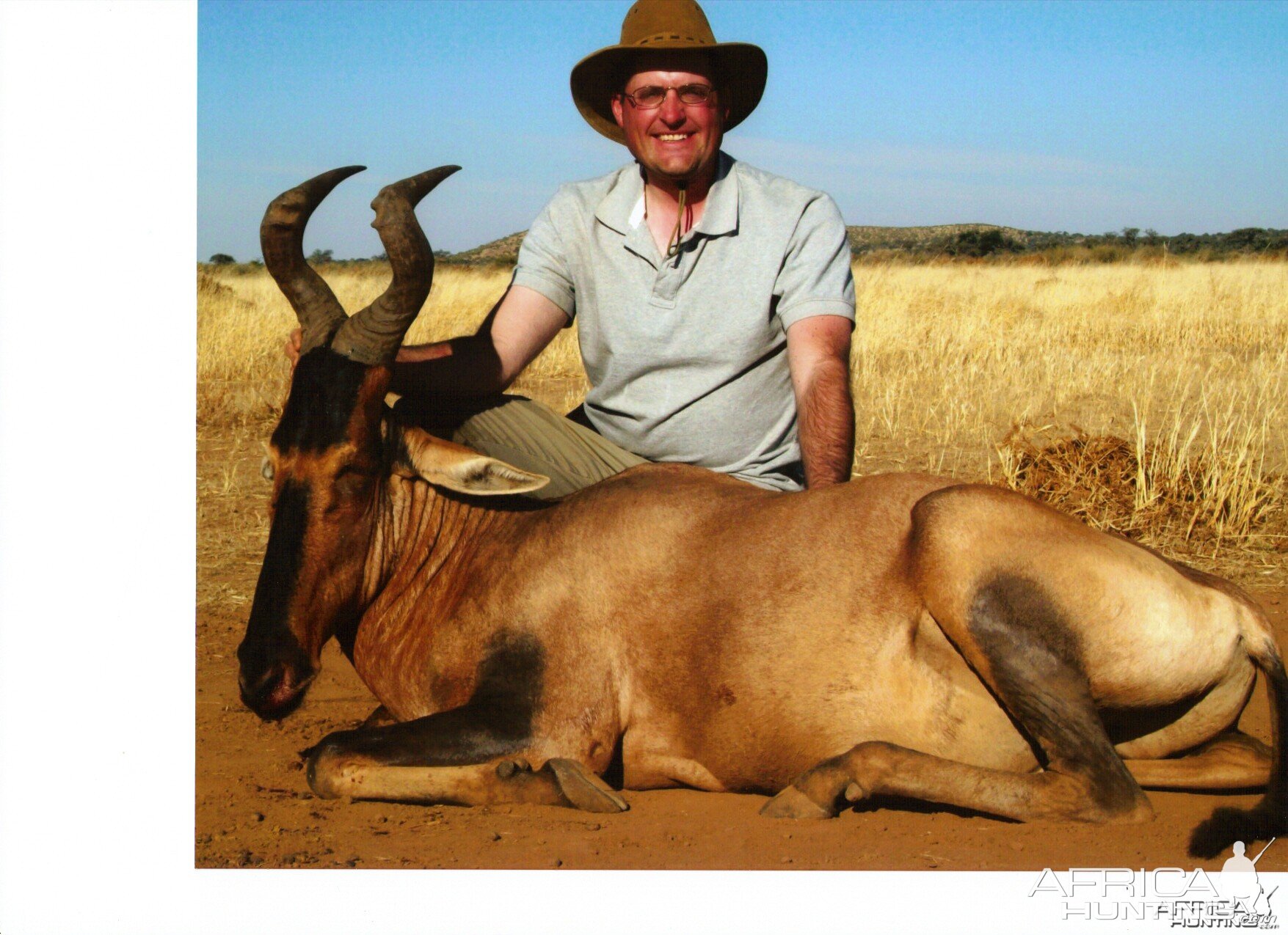 Red Hartebeest Namibia