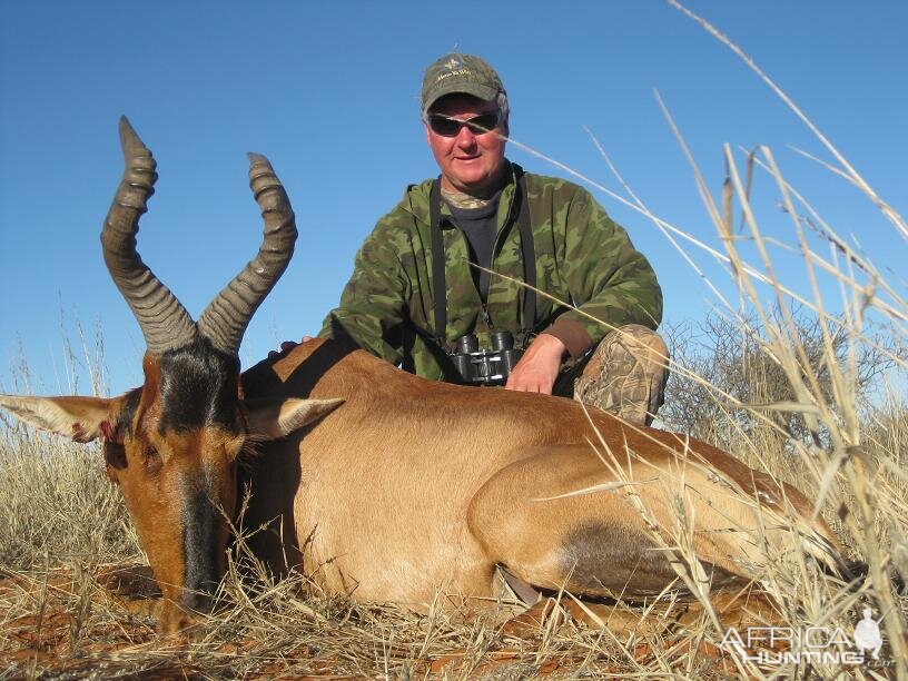 Red Hartebeest Namibia