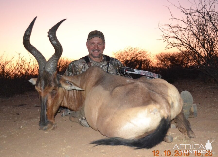 REd Hartebeest - Namibia