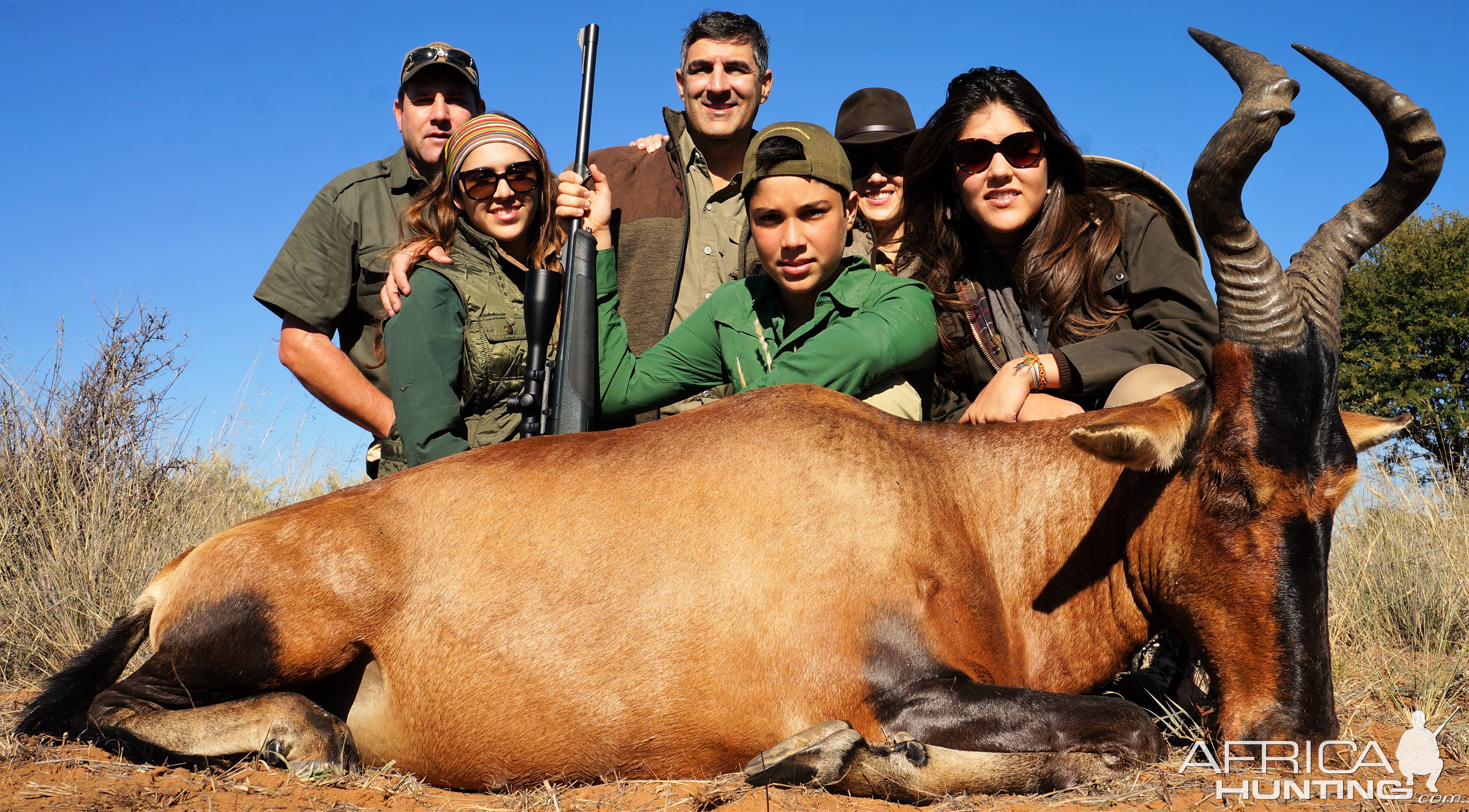 Red Hartebeest - Namibia