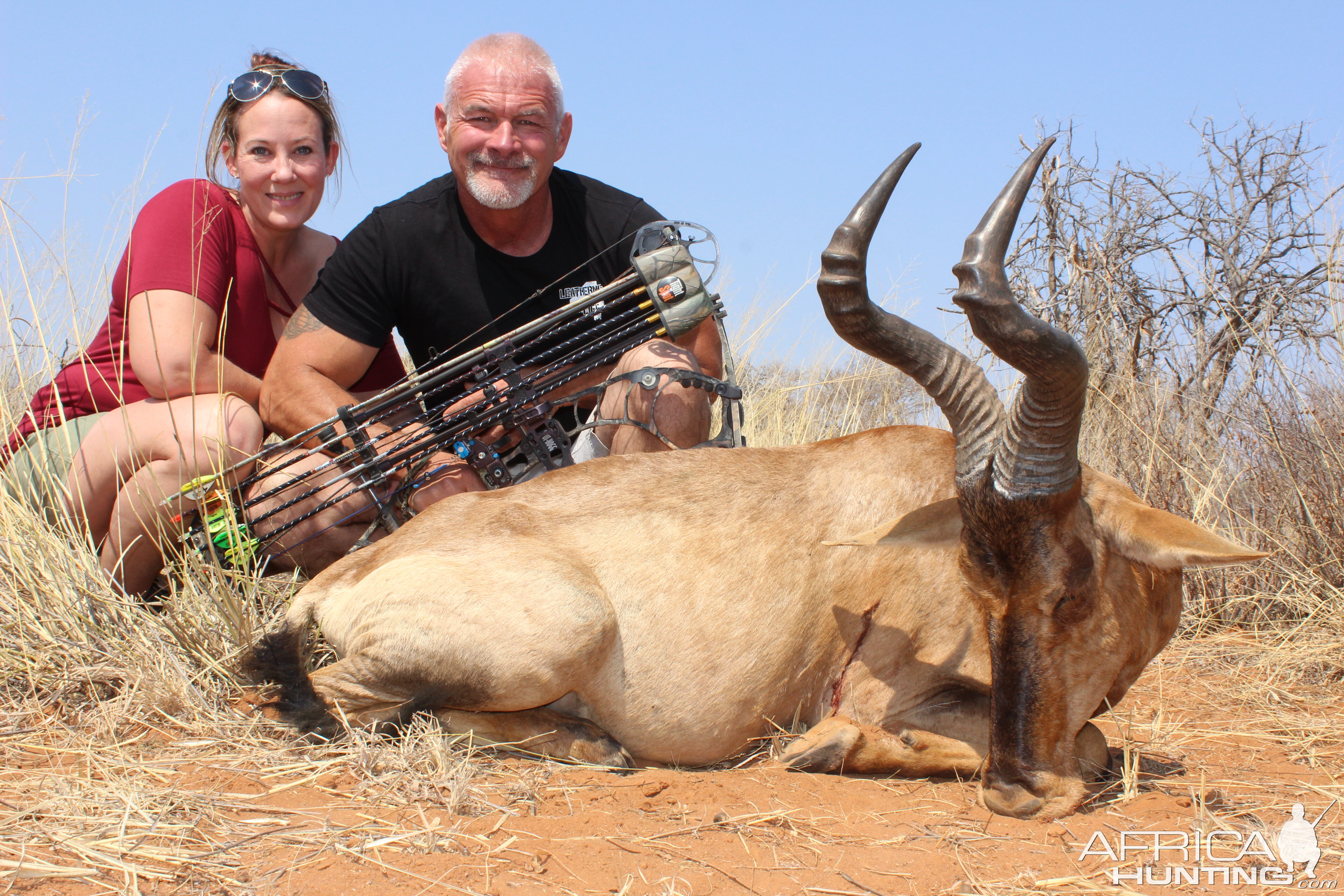 Red Hartebeest South Africa Bow Hunt