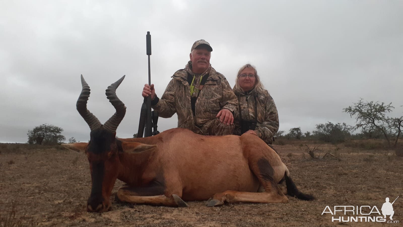 Red Hartebeest South Africa Hunt