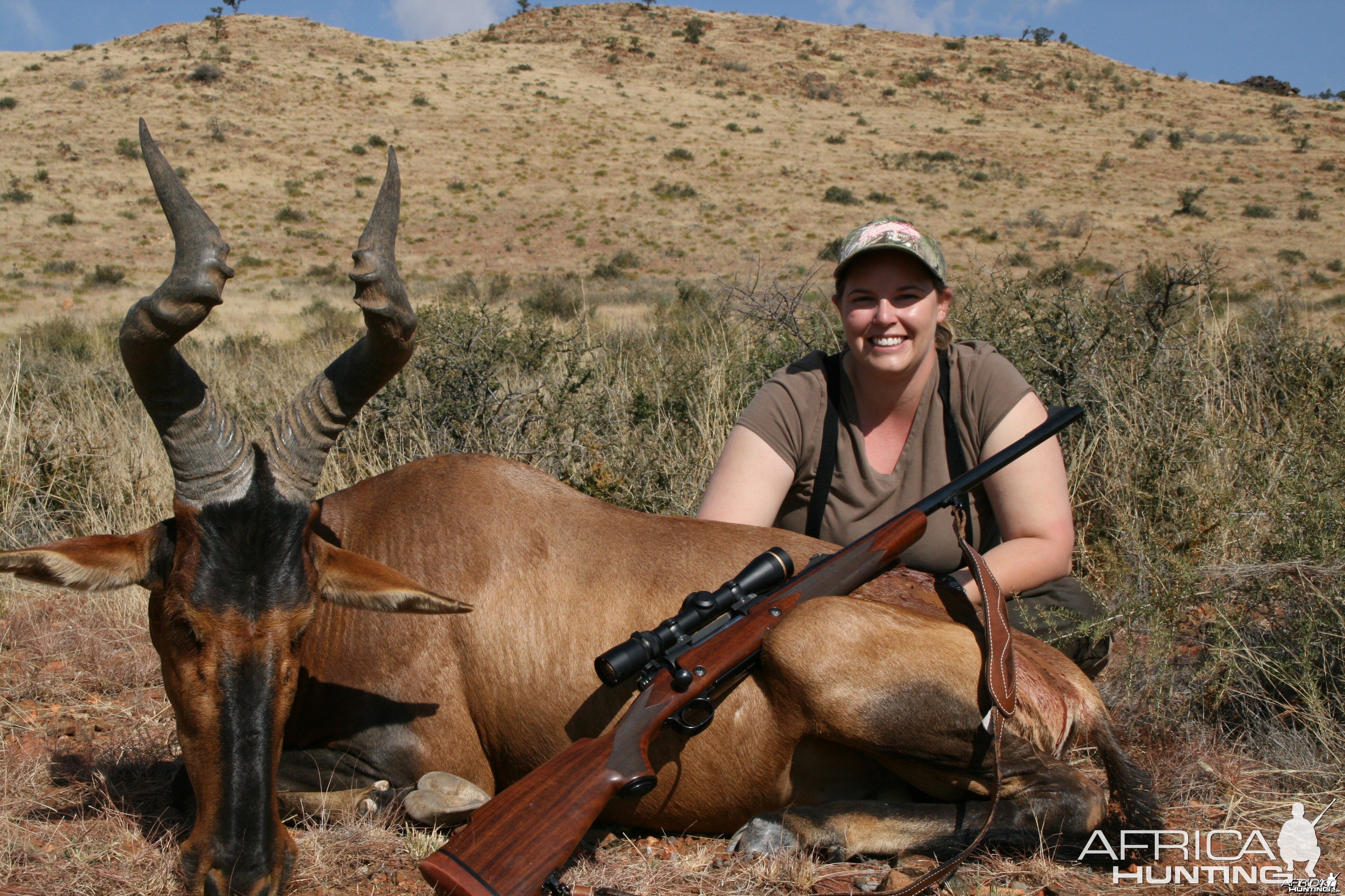 Red Hartebeest