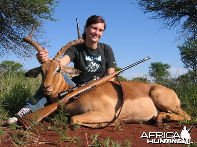 Red Hartebeest