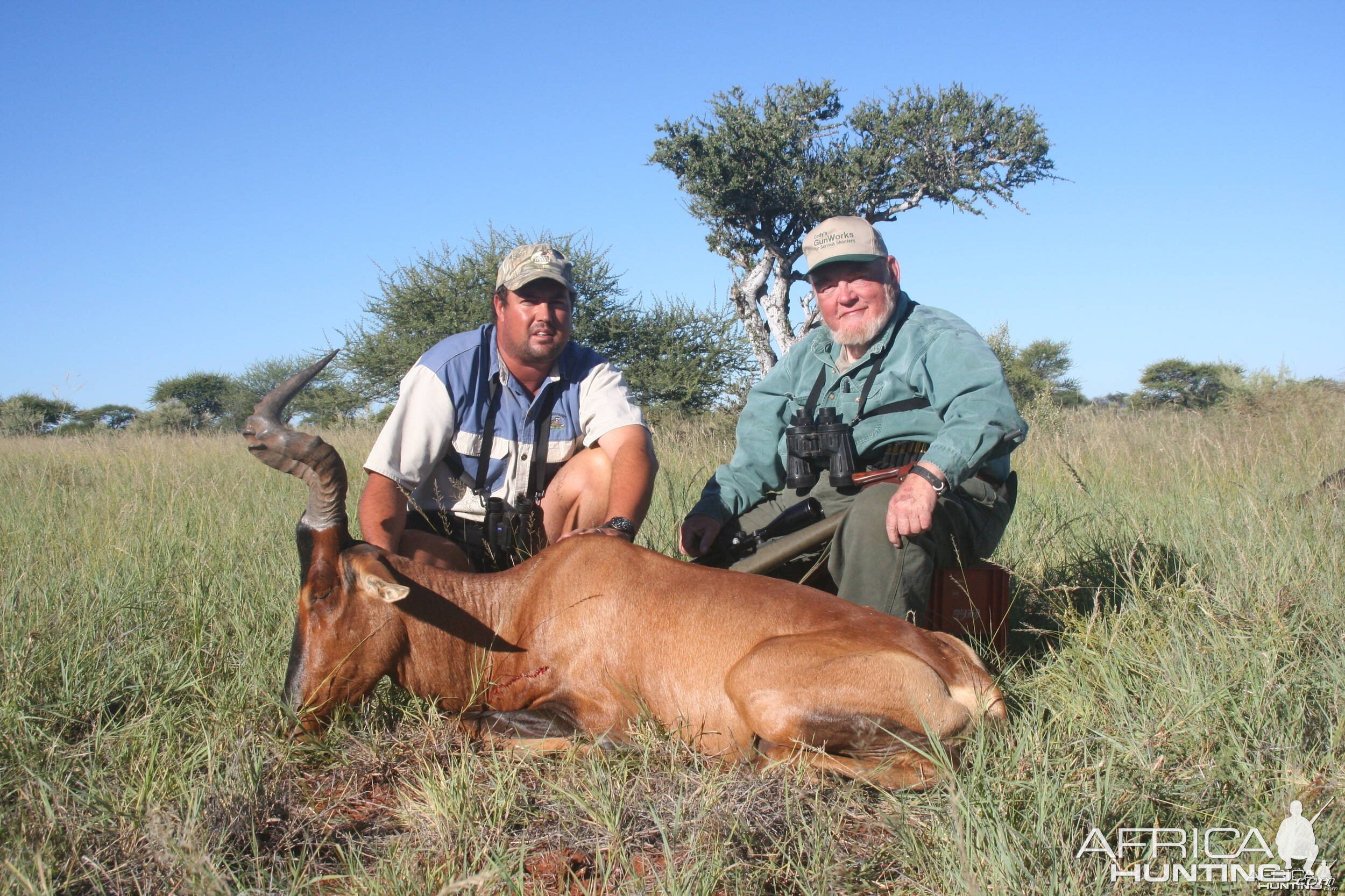 Red Hartebeeste - South Africa