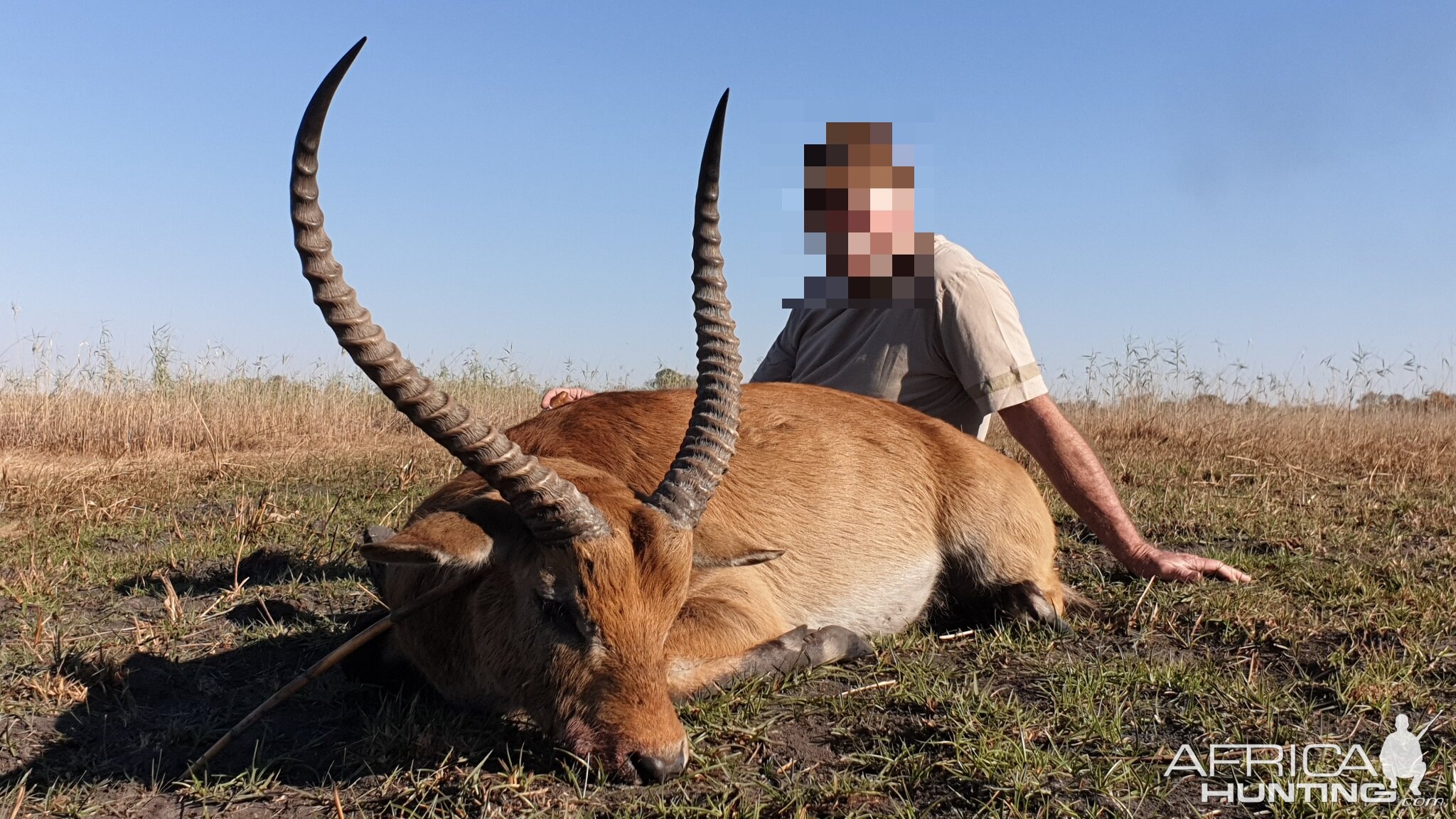 Red Lechwe Hunt Namibia