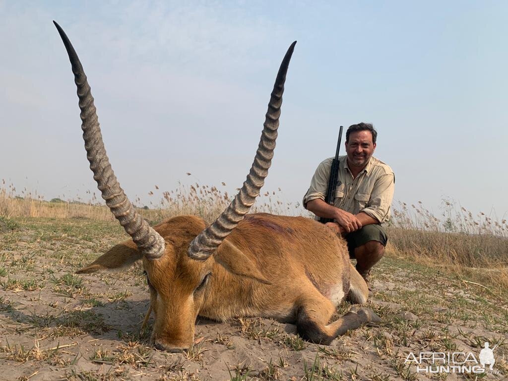 Red Lechwe Hunting Caprivi Namibia