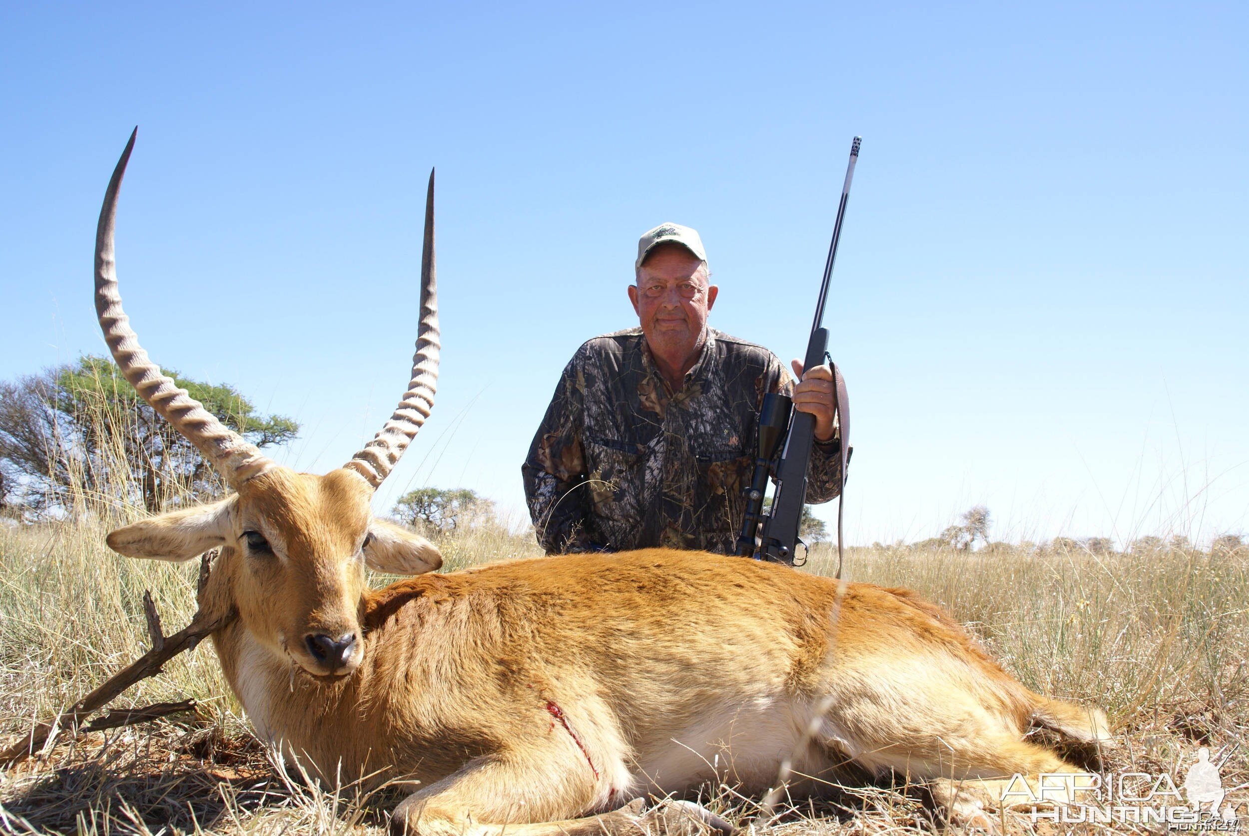 Red Lechwe