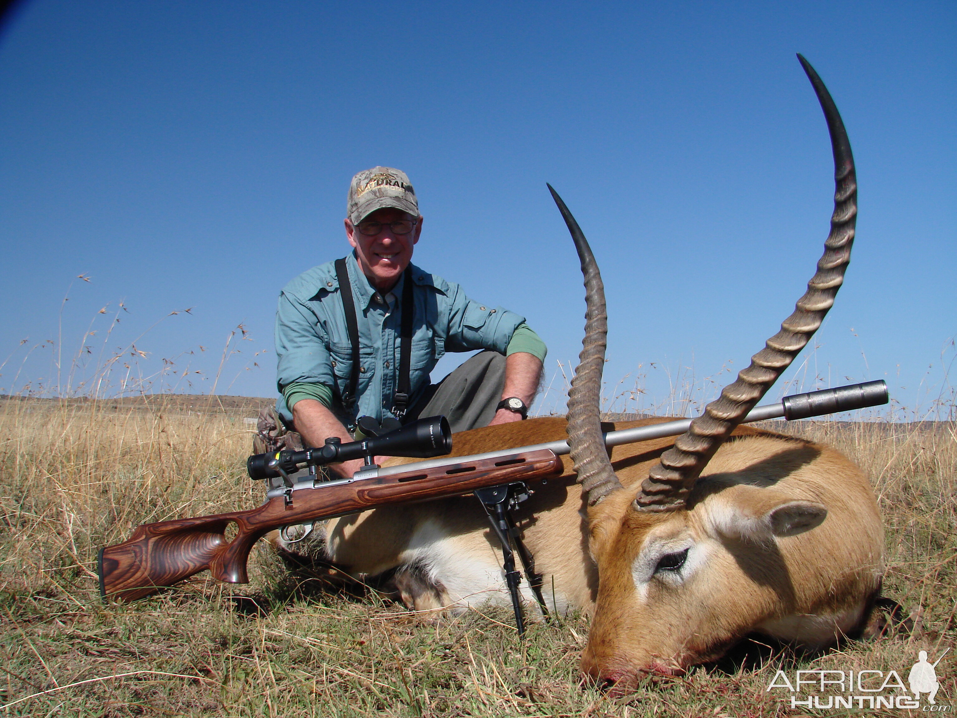 Red Lechwe