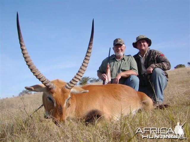 Red Lechwe