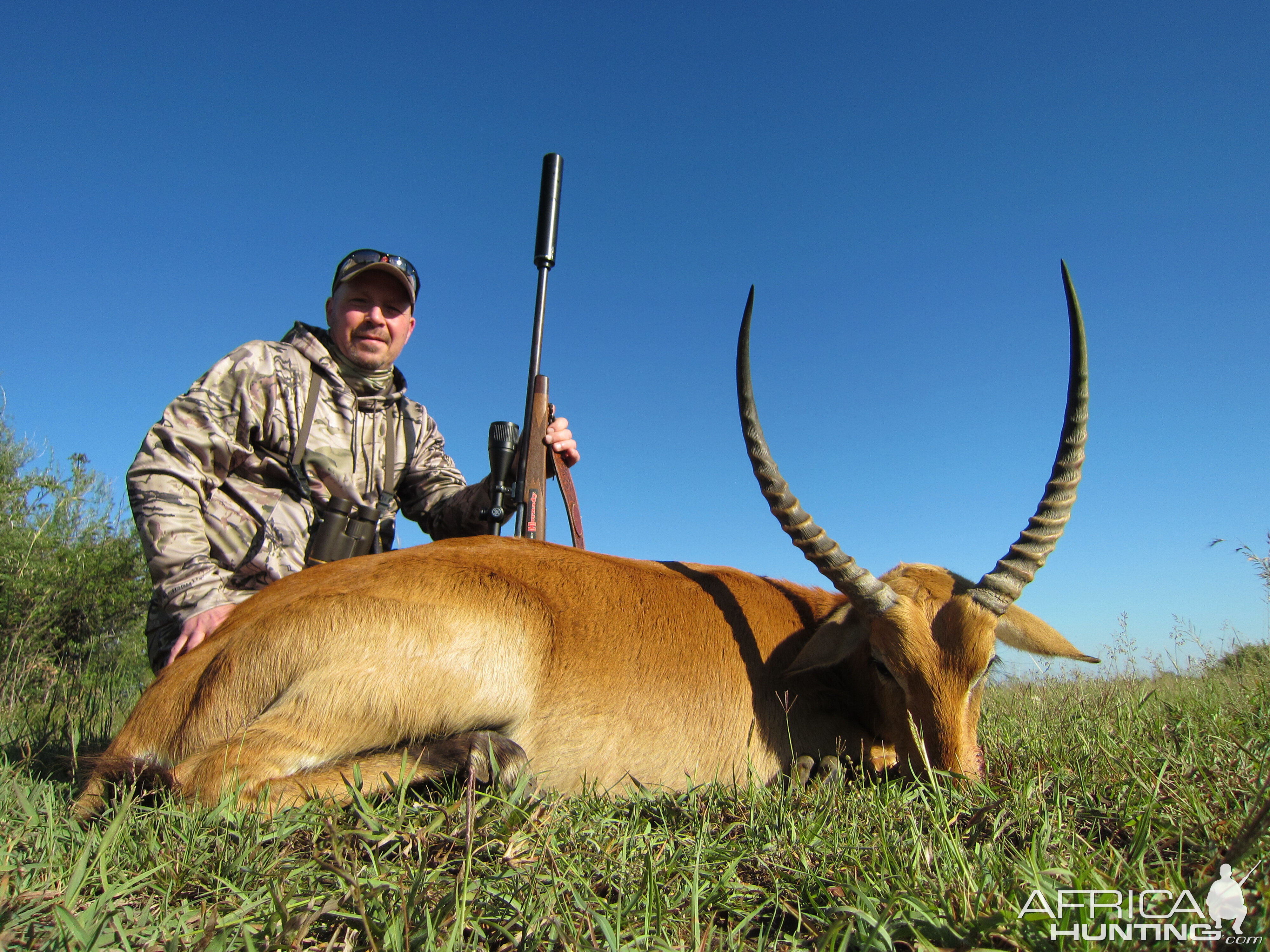 Red Lechwe