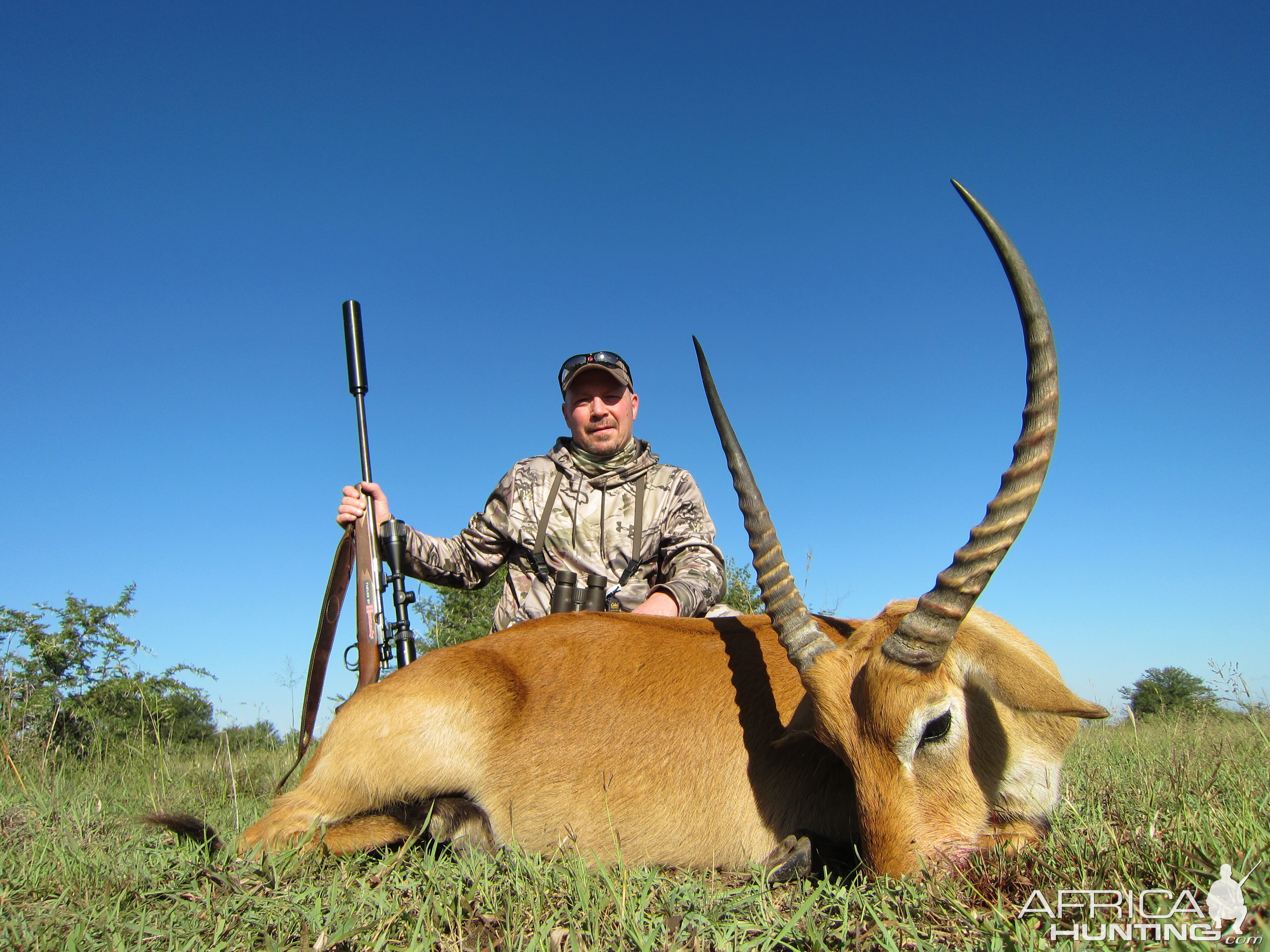 Red Lechwe