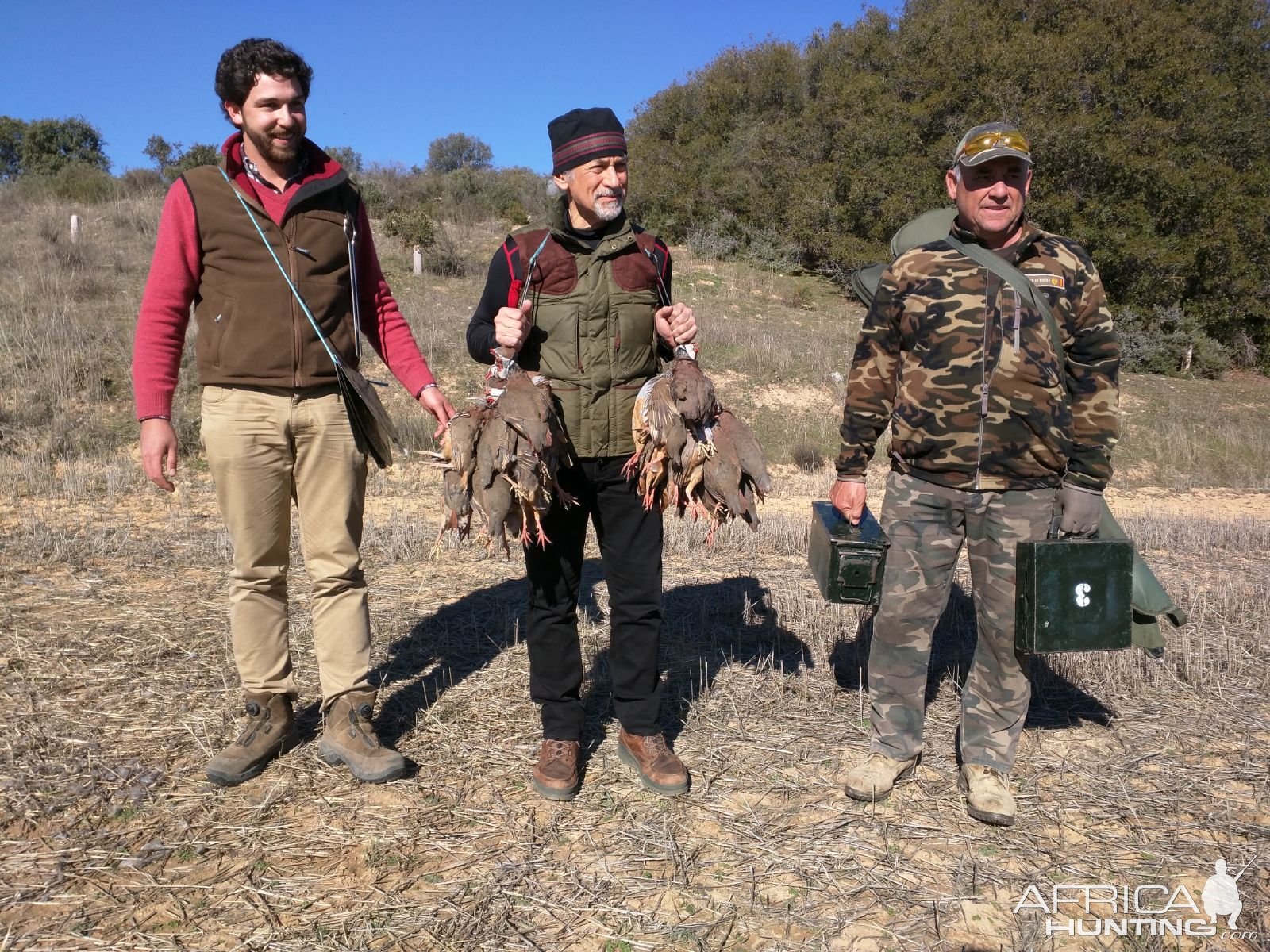 Red-Legged Partridge Hunt Spain