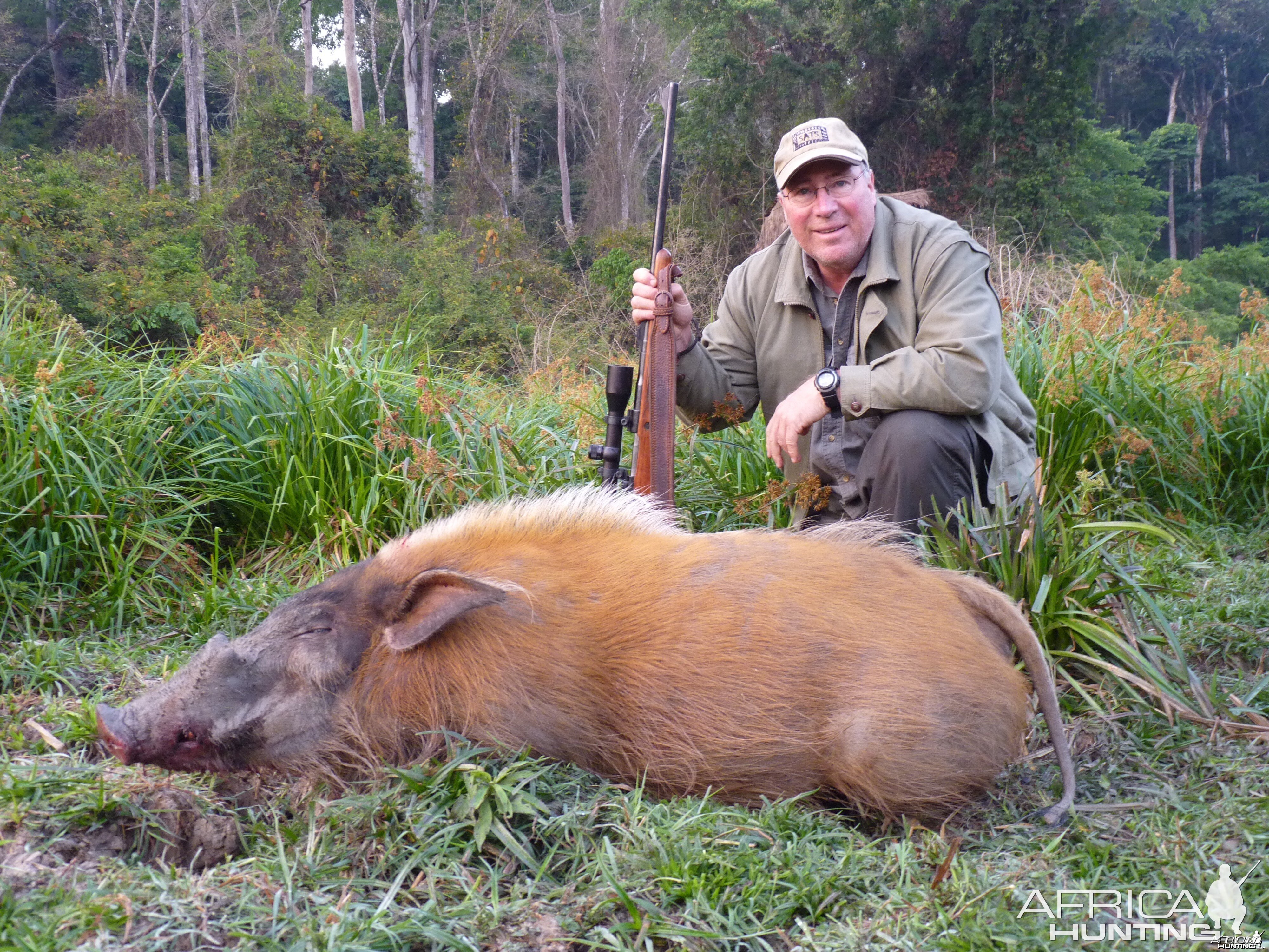 Red River Hog hunted in CAR with Central African Wildlife Adventures