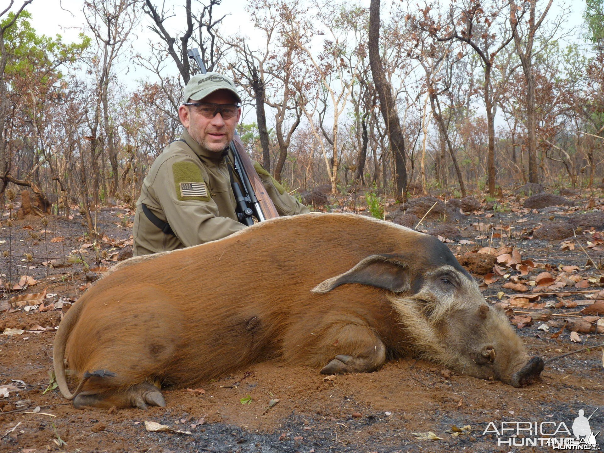 Red River Hog hunted in CAR