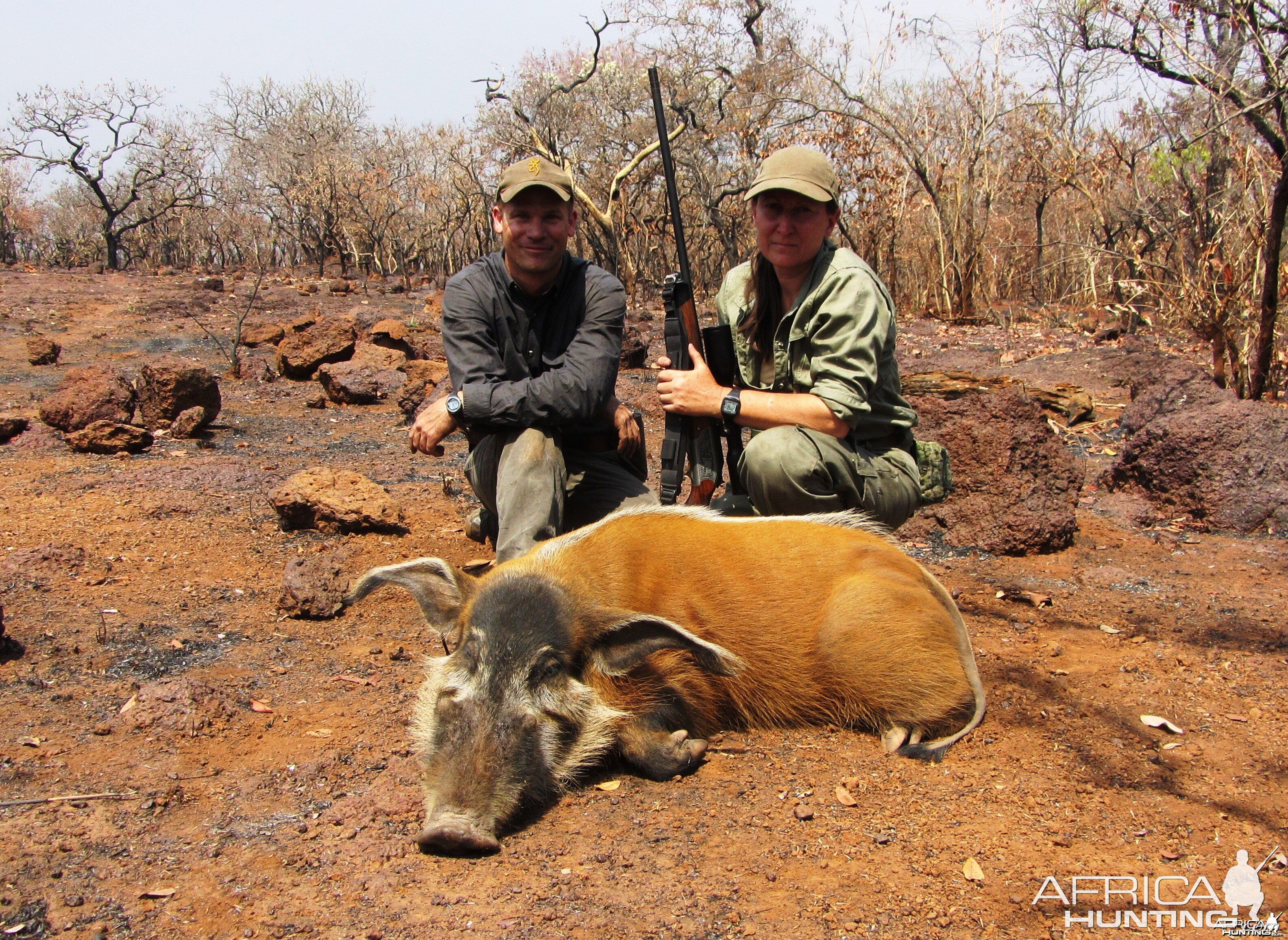 Red River Hog hunted in CAR