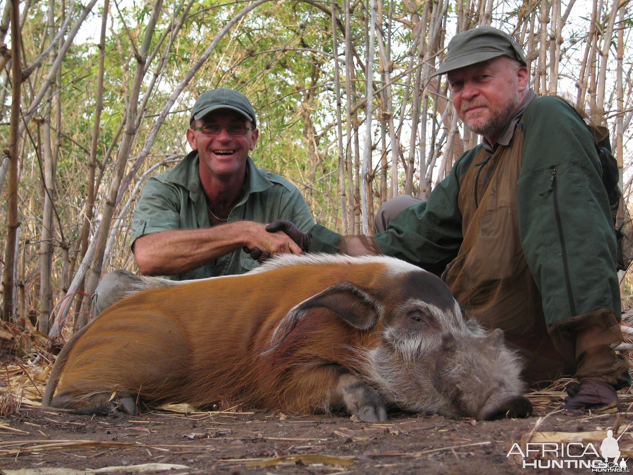 Red river hog hunting in CAR