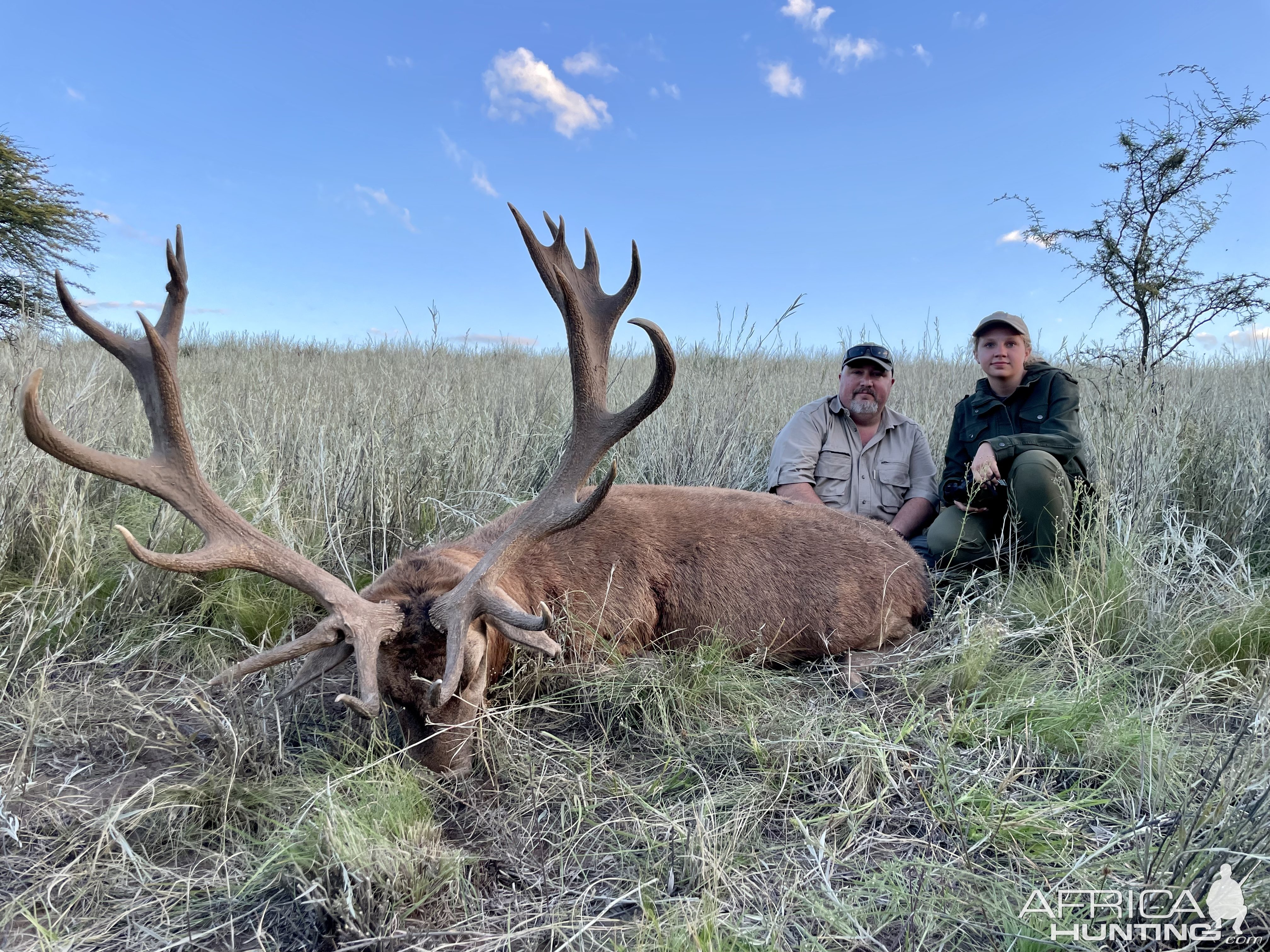 Red Stag Argentina