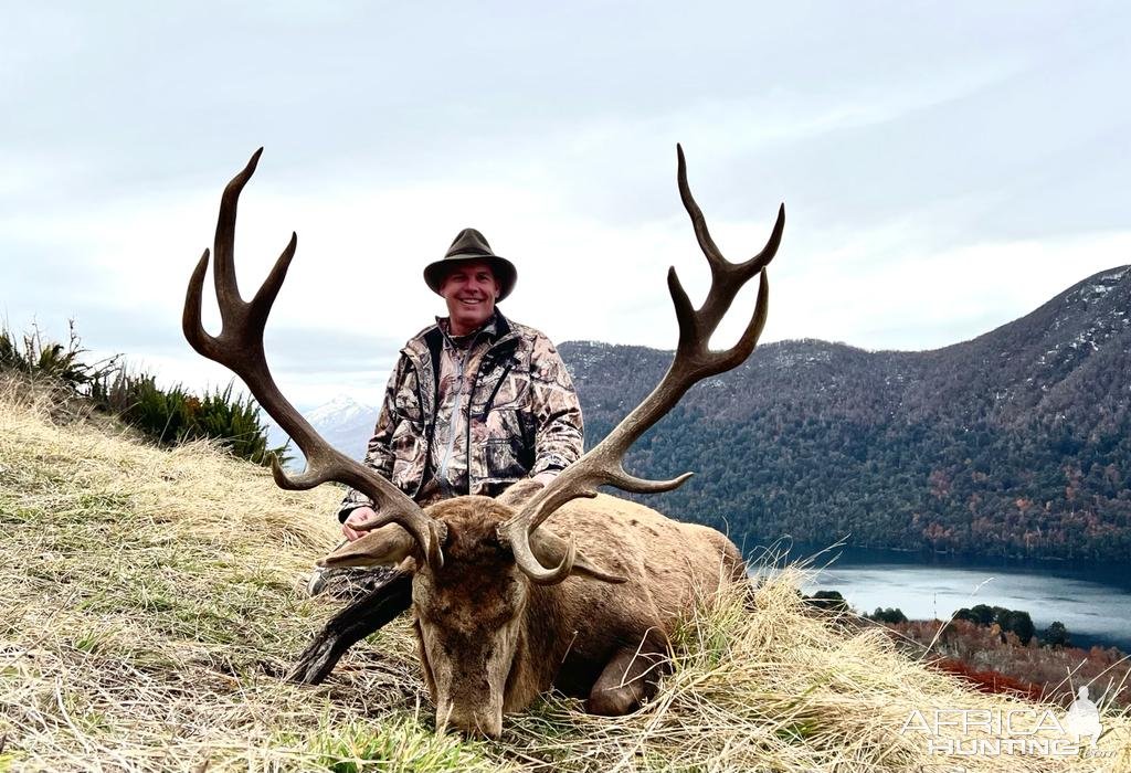 Red Stag Hunt Argentina