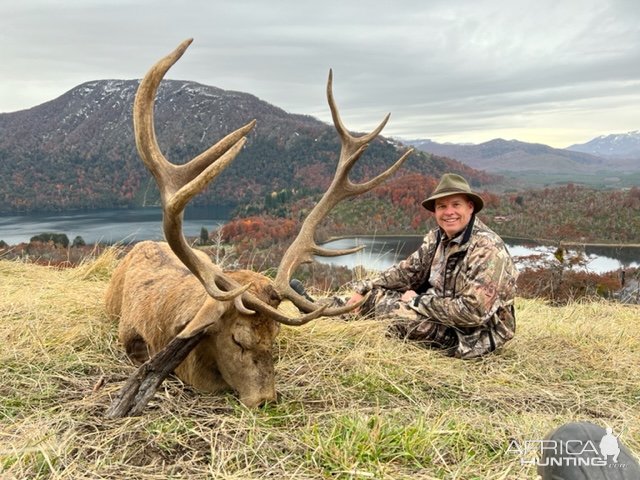 Red Stag Hunt Argentina