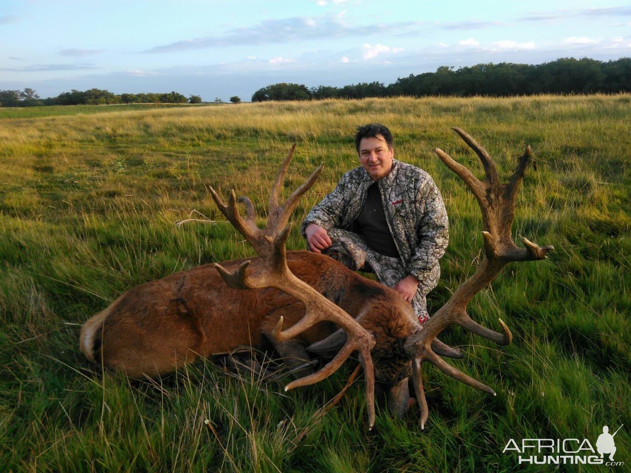 Red Stag Hunt Argentina