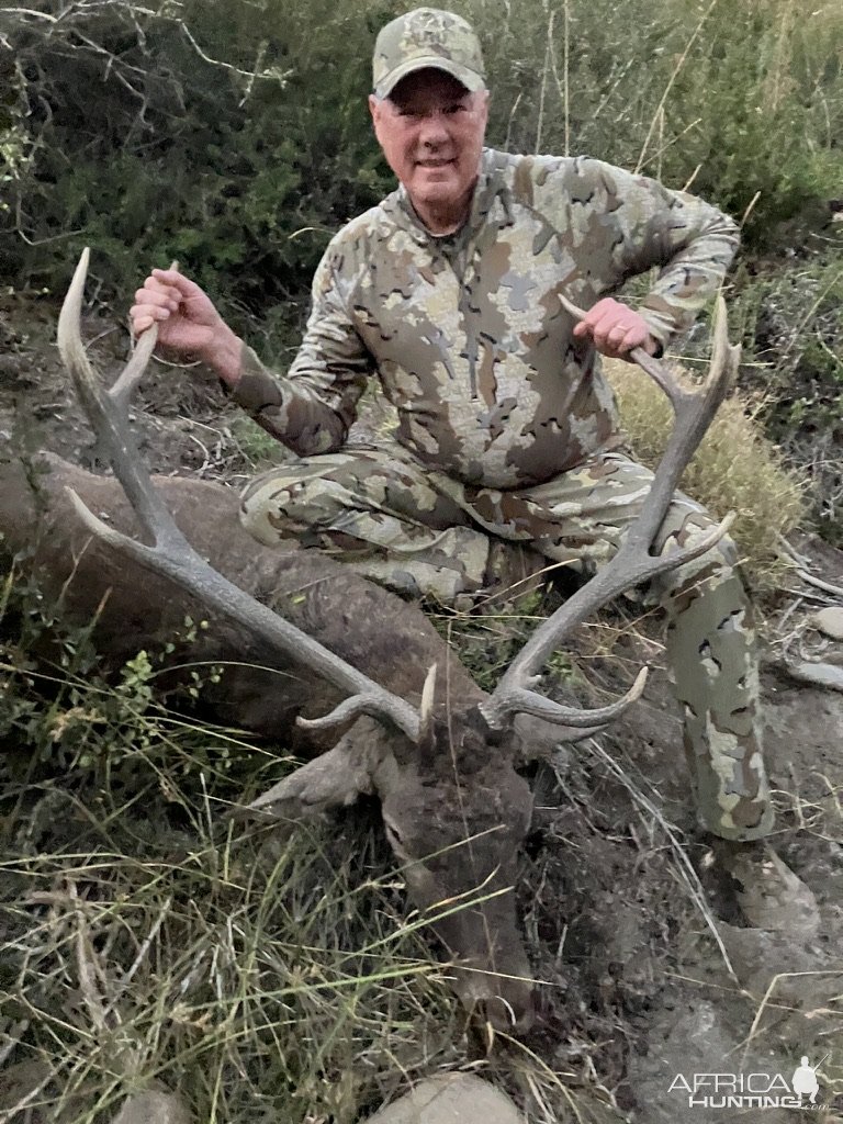 Red Stag Hunt Argentina