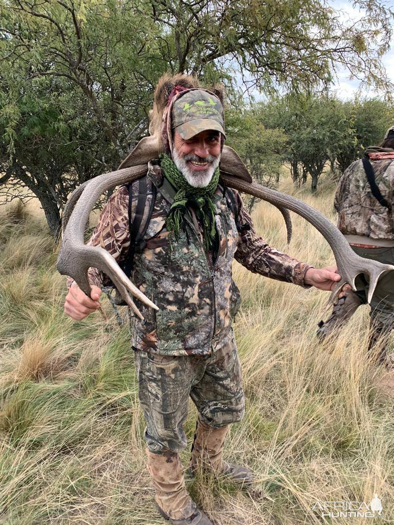 Red Stag Hunt Argentina