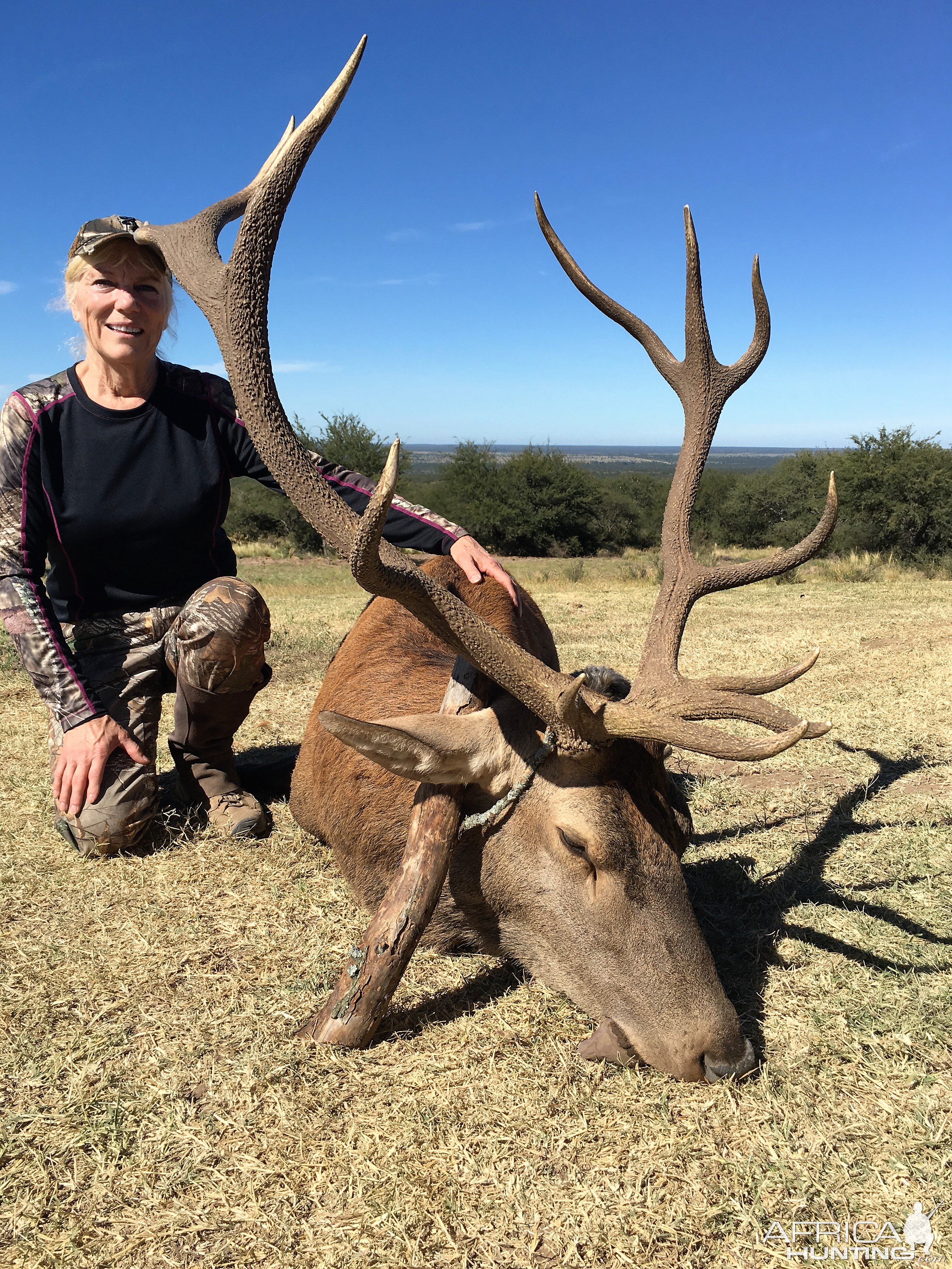 Red Stag Hunt Argentina