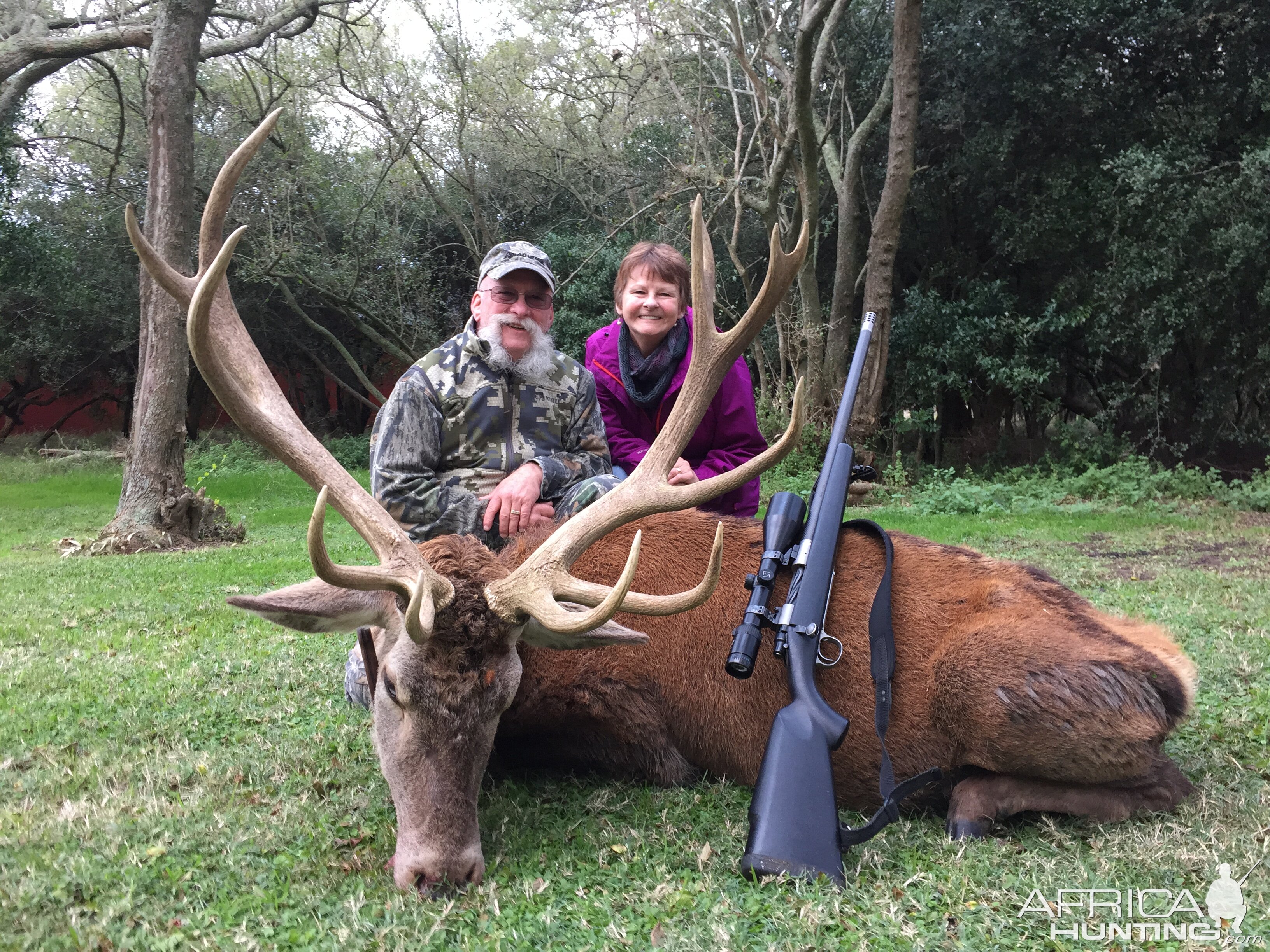 Red Stag Hunt Argentina