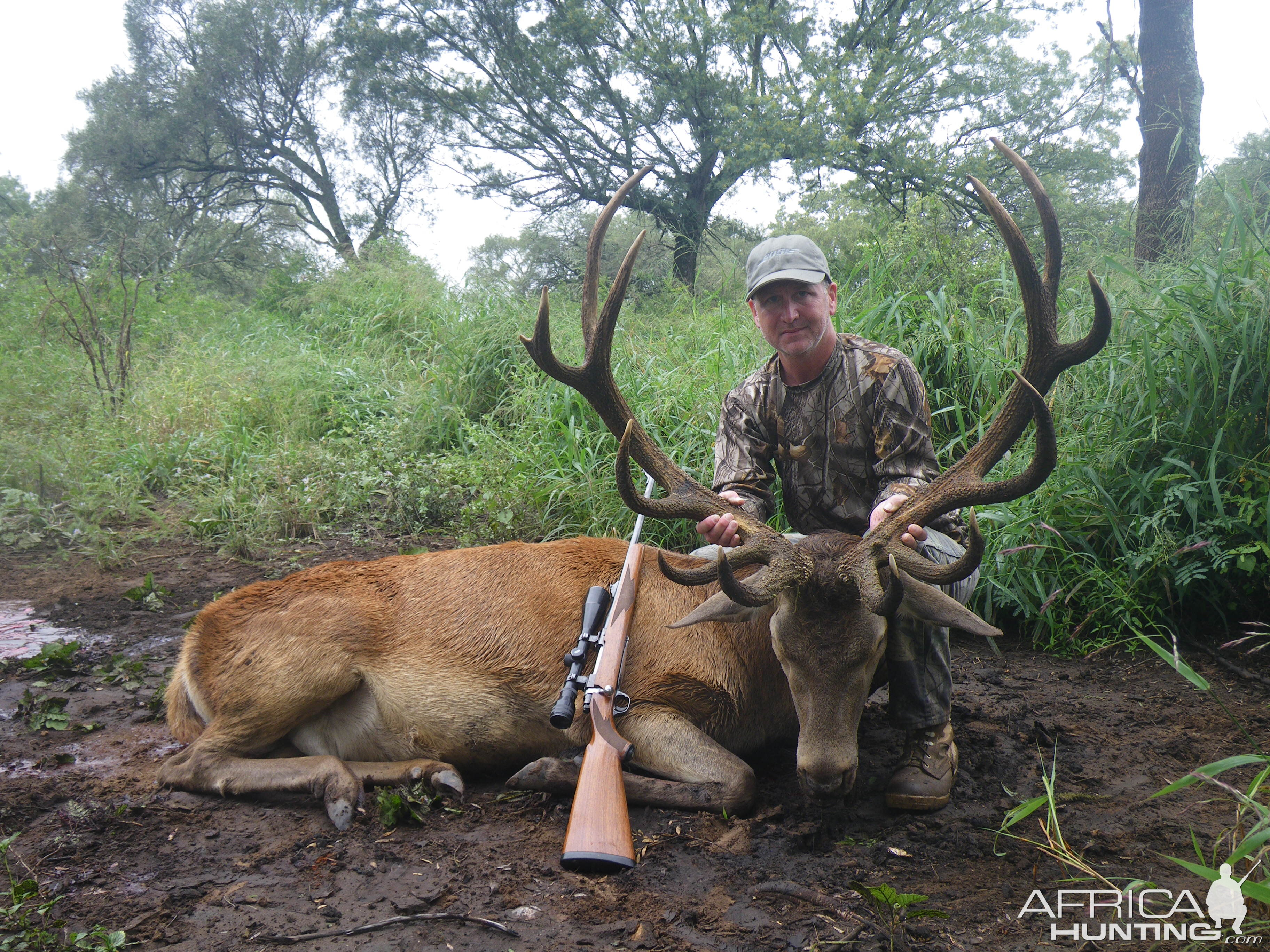 Red Stag Hunt Argentina