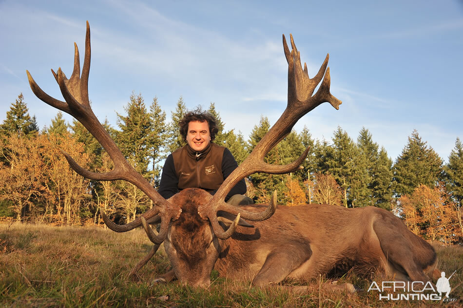 Red Stag Hunt France