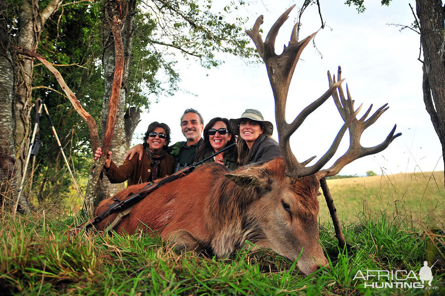 Red Stag Hunt in France