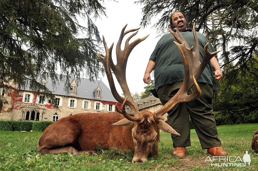 Red Stag Hunt in France