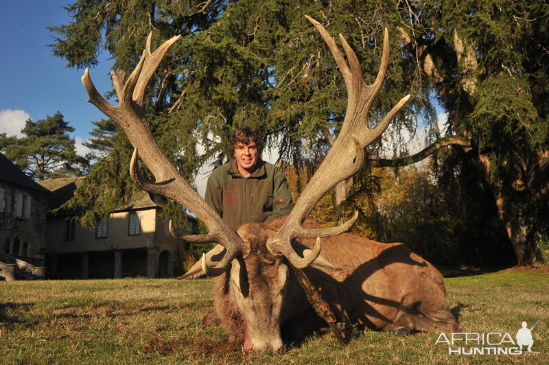 Red Stag Hunt in France