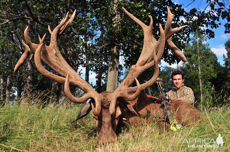 Red Stag Hunt in France