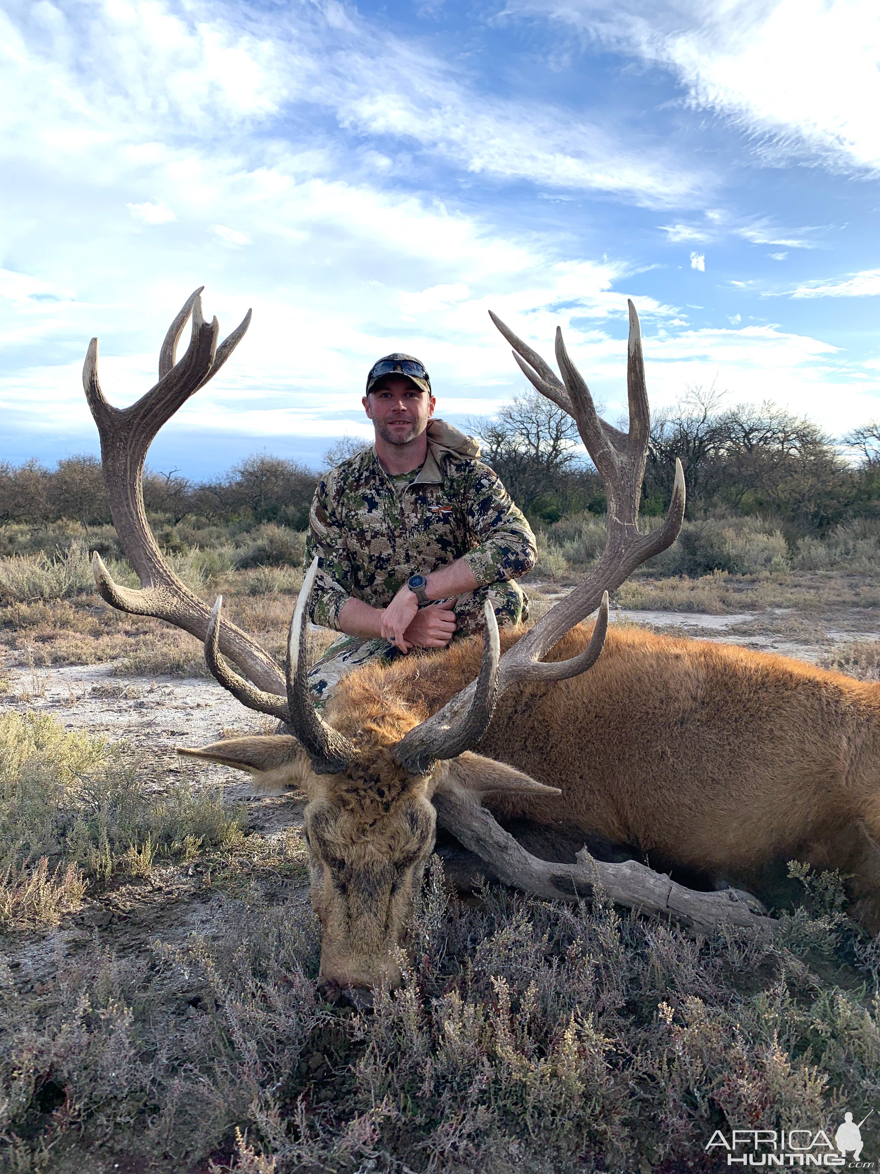 Red Stag Hunt La Pampa Argentina