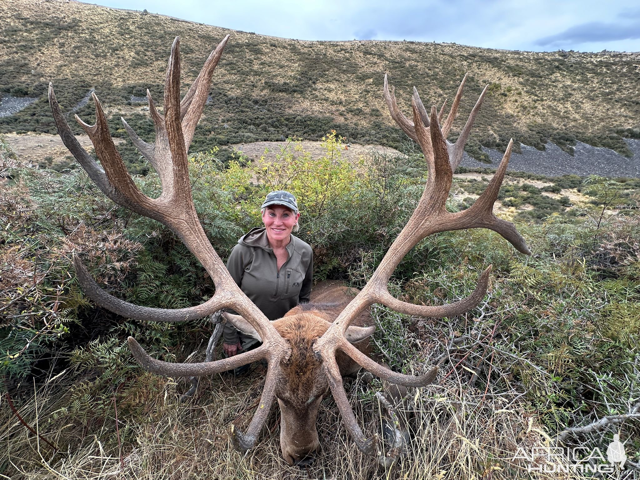 Red Stag Hunt New Zealand