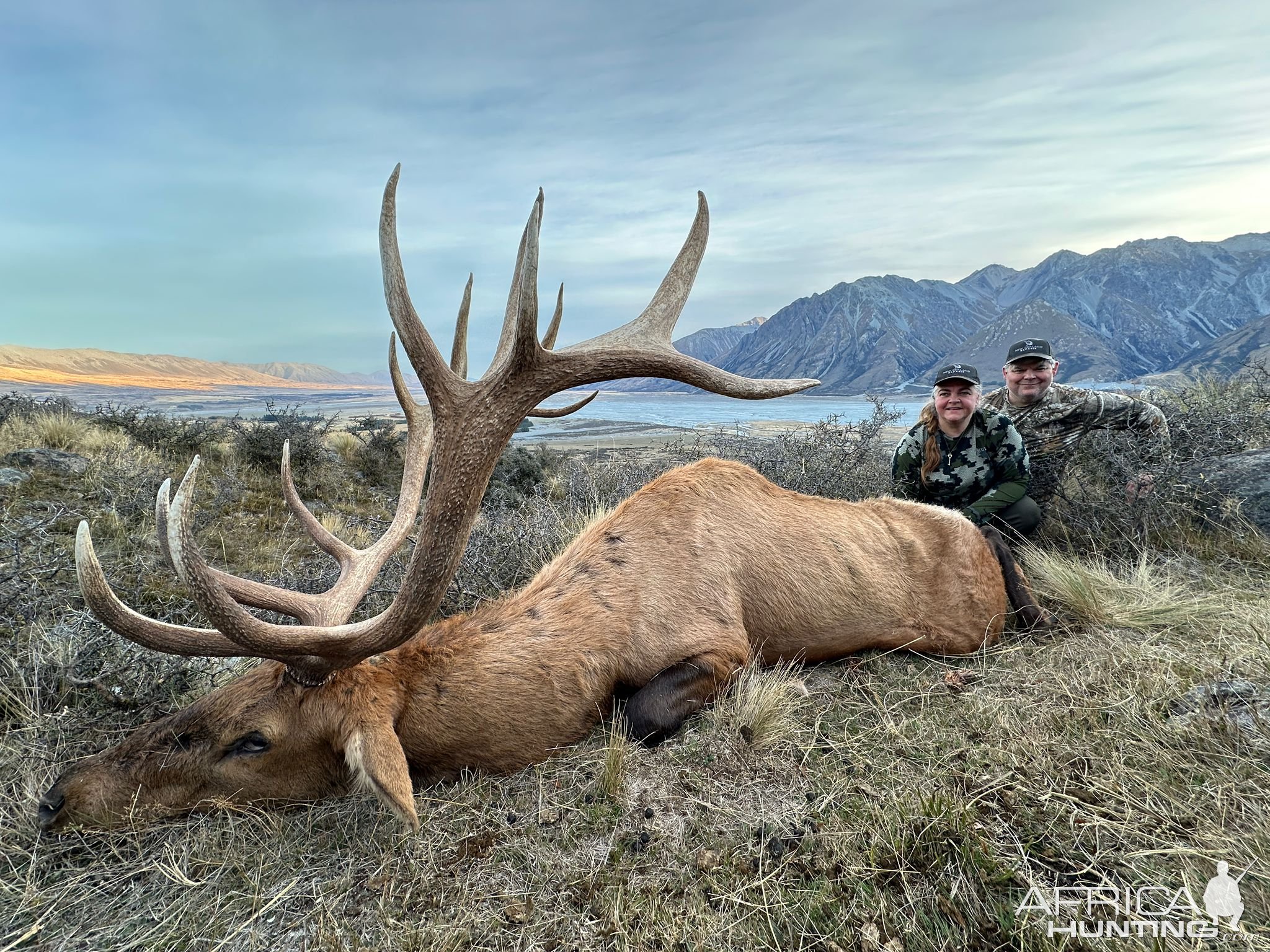 Red Stag Hunt New Zealand